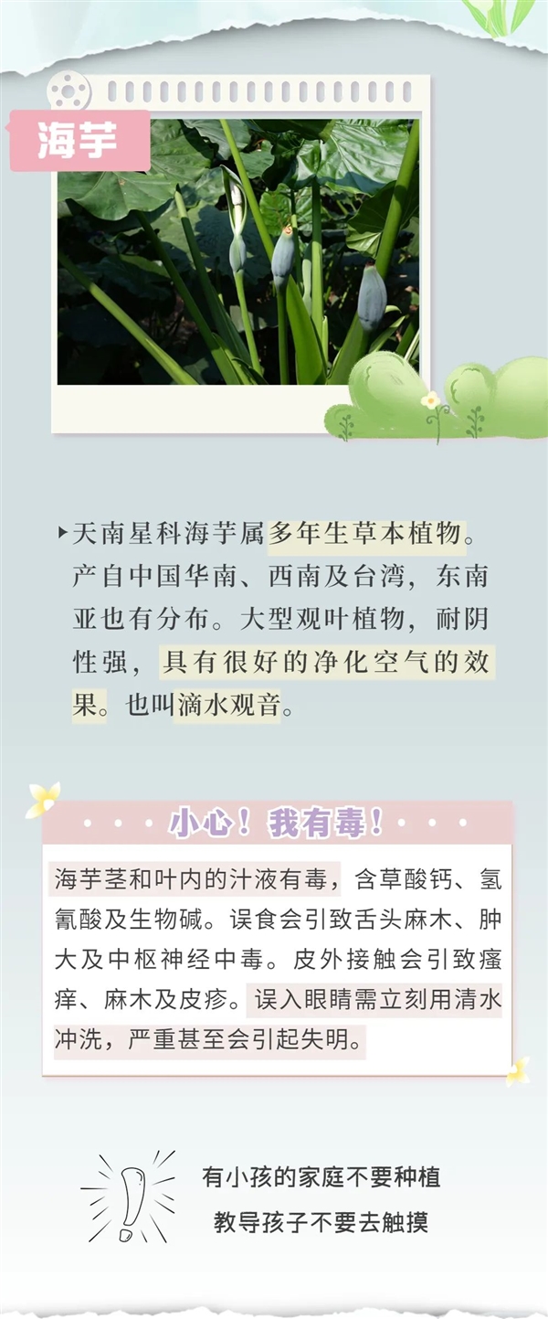 知名女演员最新大片引争议 网友惊呼:这花有毒!