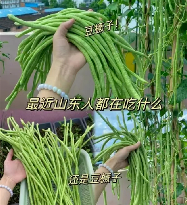每天1把豆角 身体会发生什么变化？
