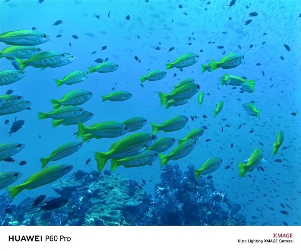 华为P60 Pro海外发布:DXO影像评分第一远超对手3分 展现华为前沿科技统治力
