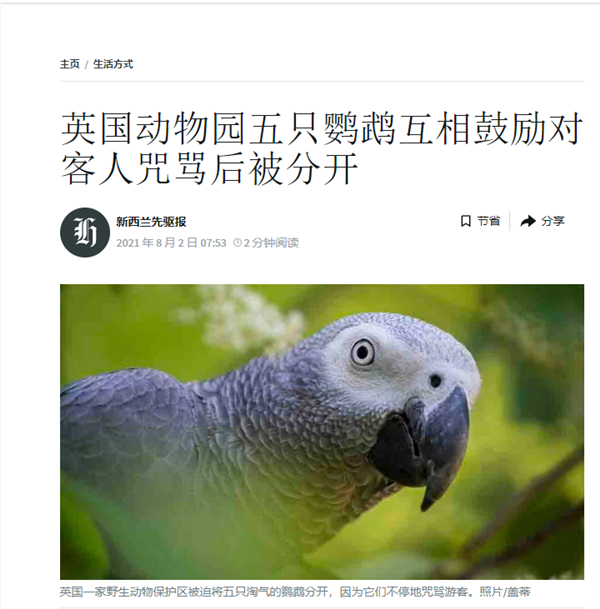 云南灰鹦鹉骂人走红 网友组团求骂 饲养员无奈：掰不回来