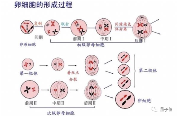 29岁男博导死磕女性健康斩百万大奖！