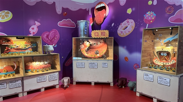 涨粉1000万后 这位科普模型师决定花三年积蓄办一场模型展