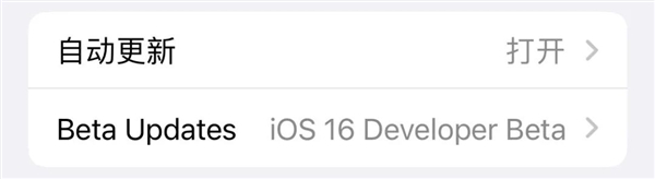 iOS 17测试版要收钱?我觉得大家想多了