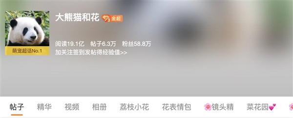 上下五千年 熊猫第一次有了站姐