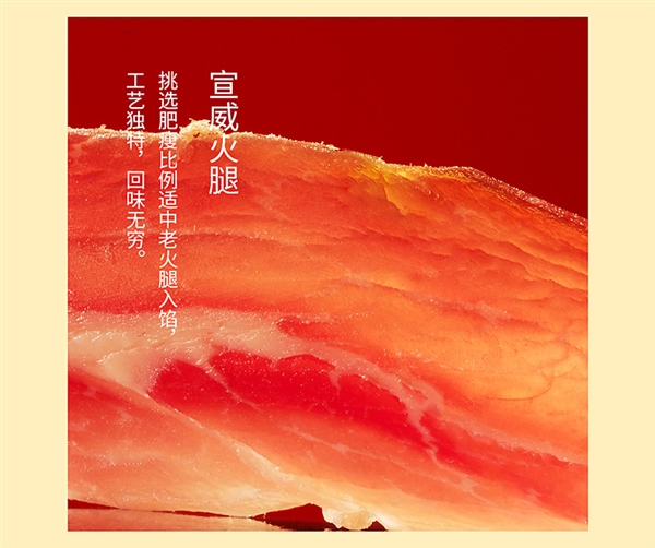 火腿满满 一口一个：云南特产嘉华云腿月饼9枚19.8元大促