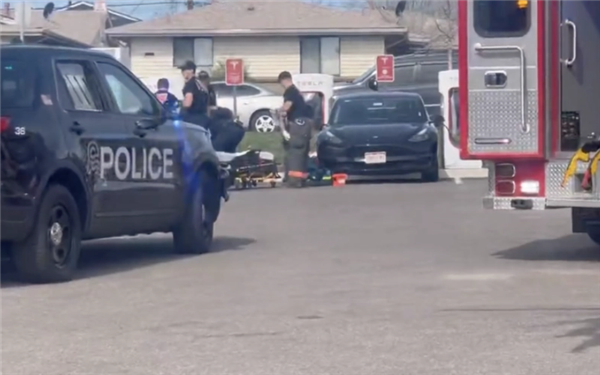 为了充上电 美国人竟然玩起了“车体蜈蚣”