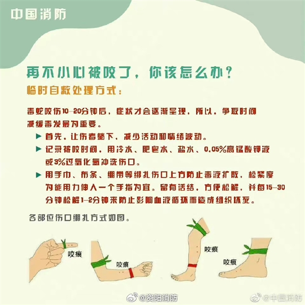 南京人行道上惊现2米长大蛇 消防提醒：立刻报警、切勿自行处理