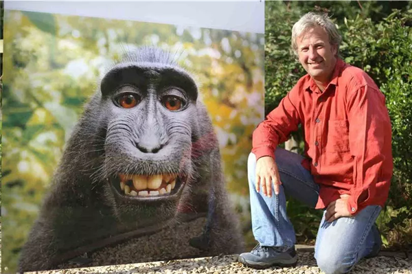 称猴子自拍照版权归猴子：美国动物组织替猴子起诉摄影师