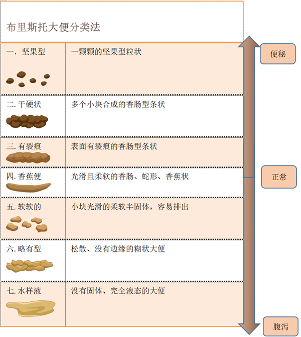真心建议:拉完便便 一定要回头看一眼!