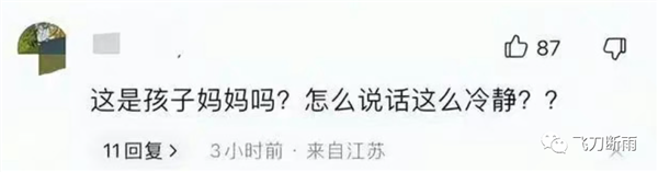 男孩被撞身亡母亲因“太冷静”被网暴跳楼！这有错吗？