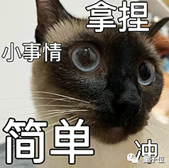 30年老律师用ChatGPT旁征博引:结果被骗得禁止执业!
