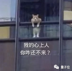 ChatGPT和谷歌搜索不必二选一！爆火开源插件神器 中国打造