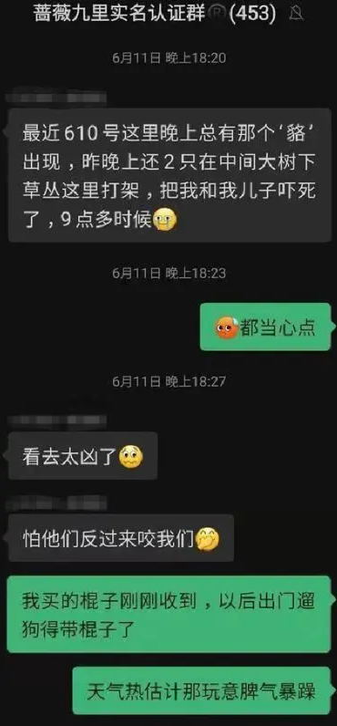 五千多只貉惊现上海小区：咬伤宠物还攻击人？