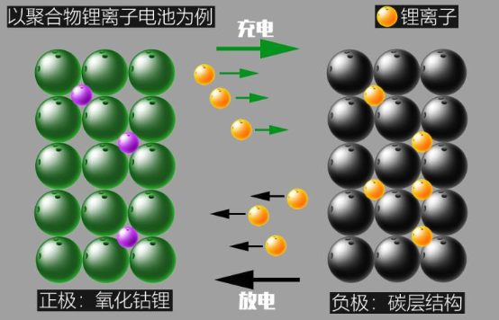 电池放两周就报废!电车真就这么娇贵?真的