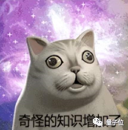偶然当程序员却拿下图灵奖 超算榜单之父讲述人生开挂经历
