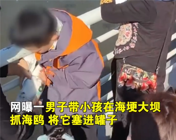 大妈为拍照景区抓住海鸥喂麻花:遭网友谴责不文明