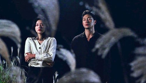 《黑暗荣耀》爆火！宋慧乔入围韩国百想艺术大赏视后