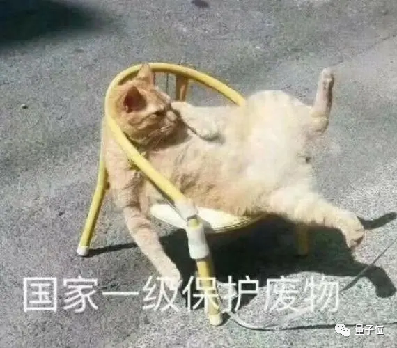 坏了！我的工作真要被AI抢走了