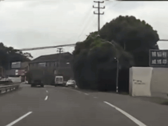 大货车被别车 连闯红灯狂追逼停商务车讨说法 拘留14天