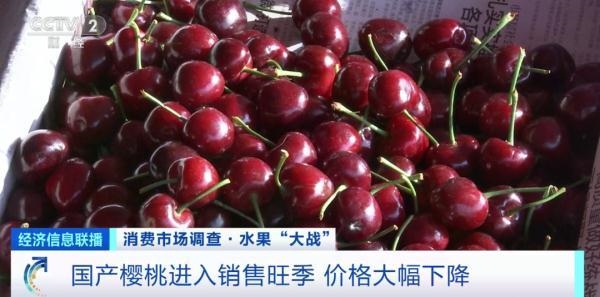樱桃自由了！水果贵族樱桃一斤直降30元 六七月份还会继续降