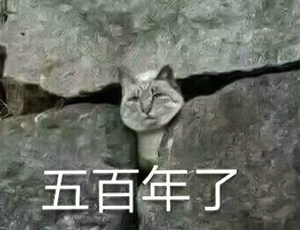 在地下洞穴坐牢500天后:女探险家结束了与世隔绝的生活