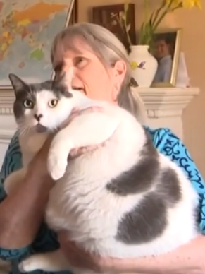 世界最胖的猫在数万人的监督下被迫减肥：一年后能跳上桌子了