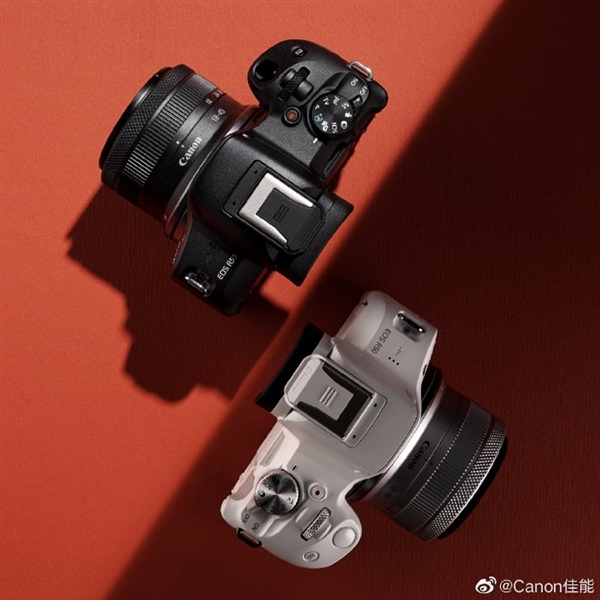 4599元 佳能EOS R50正式开售:2420万像素 小巧便携