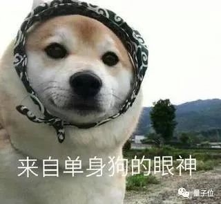 老罗落泪!北大团队搞出ChatExcel 说人话自动处理表格 免费