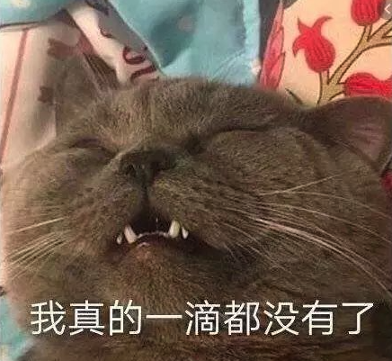 电池放两周就报废!电车真就这么娇贵?真的