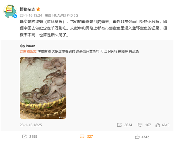寿司店疑现被煮熟蓝环章鱼 店家要求爆料网友删博:市监局已介入