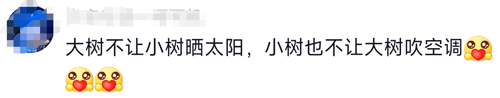 中国人给心灵鸡汤下毒后：看完笑不活了！