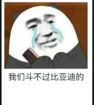 马斯克真应该见见王传福