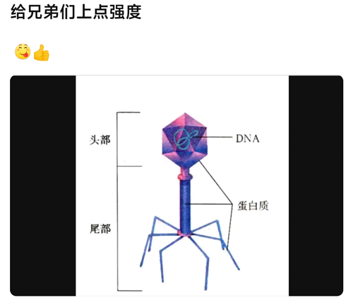 就没有《猫和老鼠》还原不了的图!AI被锤爆了