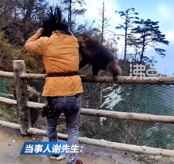 一男子和峨眉山猴子练搏击互殴 当事人回应:条件反射、请勿模仿