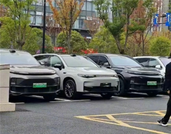 安能辨我是雄雌 零跑全新C10混入理想车队：毫无违和感