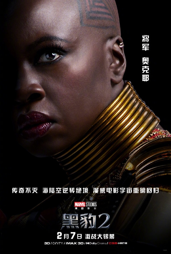 《黑豹2》中国角色海报发布：全员黑色皮肤 2月7日上映