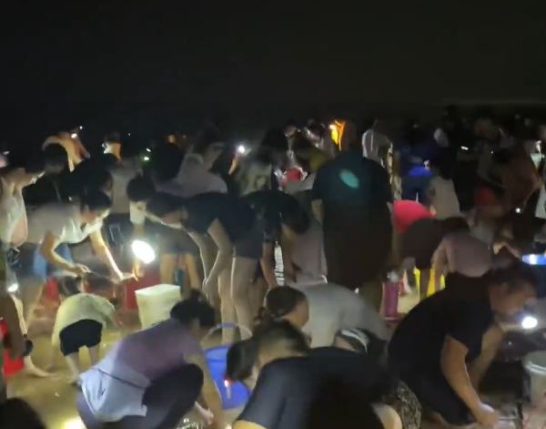 日照海滩现大量面条鱼引市民捡拾 场面太壮观：一晚能捡上百斤
