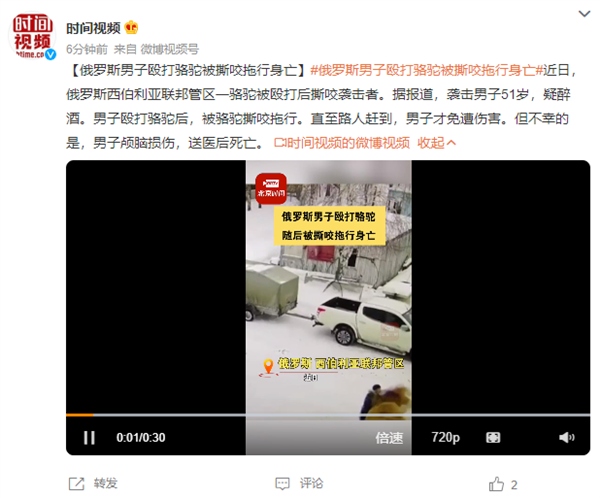 俄罗斯男子殴打骆驼被撕咬拖行身亡 别小瞧它：发起飙来狼都怕
