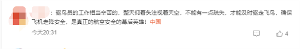 太卷了!浙大学霸应聘机场驱鸟员:要求英语四级425分