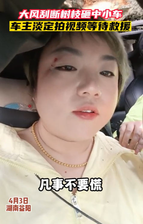 腰粗大树刮断砸中小轿车 女车主:不慌 先拍个视频