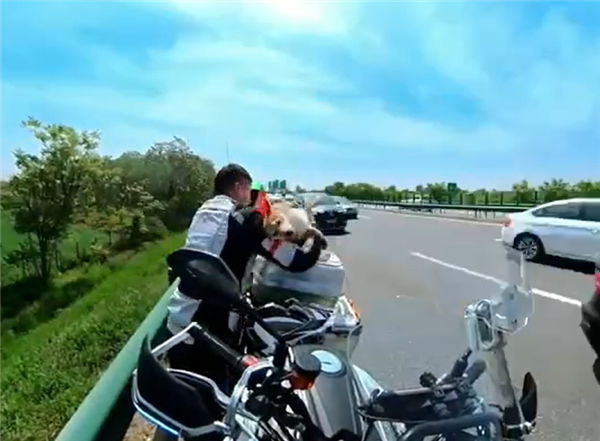 爱犬跳车乱蹿 摩托车骑手高速路上抓狗:险象环生