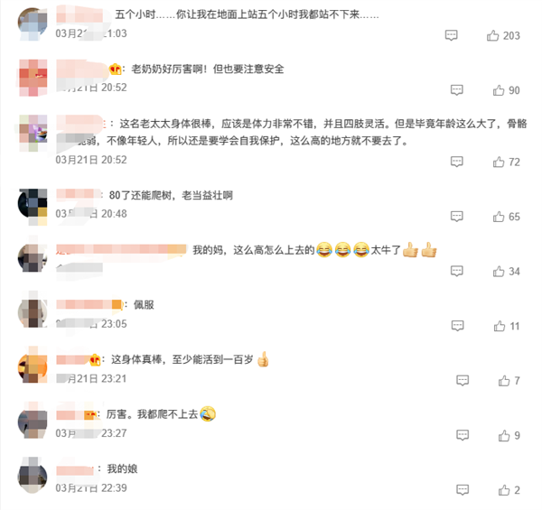 80多岁老太爬树摘榆钱 喊都喊不下来:网友惭愧自己20岁都上不去