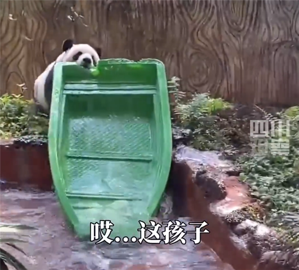 别拿熊猫不当熊！几分钟就能捣毁一条船 网友：不愧为蚩尤座驾