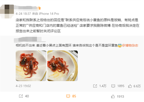 寿司店疑现被煮熟蓝环章鱼 店家要求爆料网友删博:市监局已介入