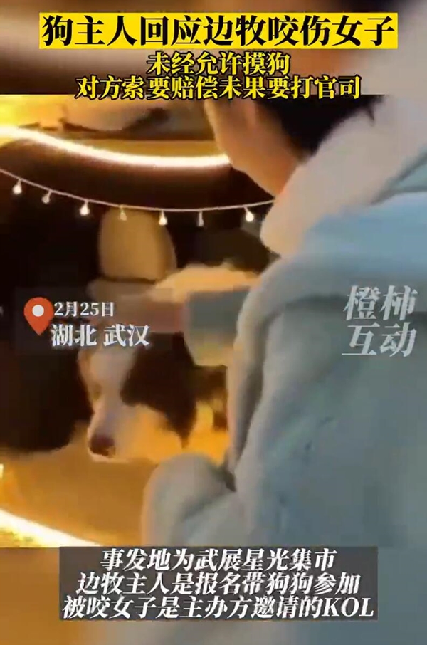 女子未经允许摸狗被咬伤:当事人向狗主人索赔