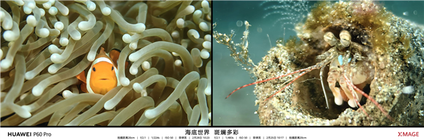 华为P60 Pro拍照秒所有：七大全球第一！拍月亮更神了