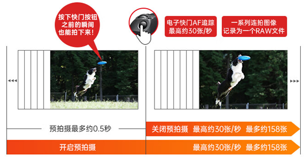 单机身10499元起!佳能入门全画幅微单EOS R8 23日正式开售