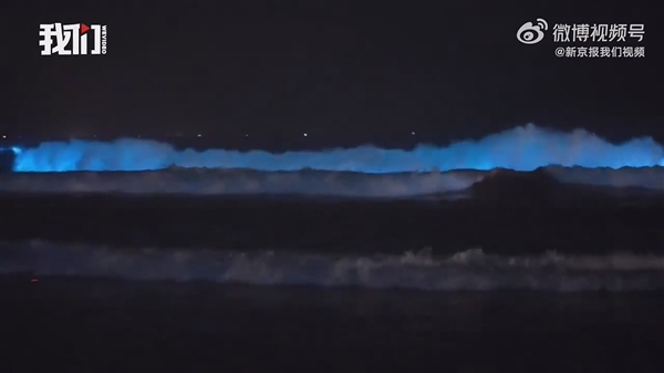 广东海陵岛海滩连日现“蓝眼泪”:3mm微生物的盛宴