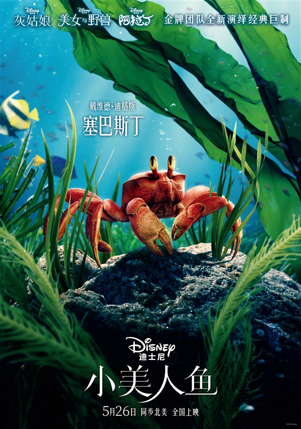 《小美人鱼》真人版角色海报发布:5月26日内地上映!
