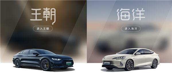 正式分家了！比亚迪王朝/海洋APP上线 独立运营